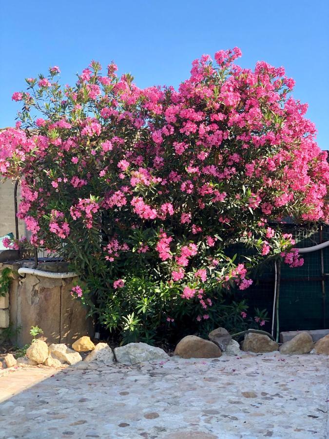 Agrialma Hotell Agrigento Exteriör bild